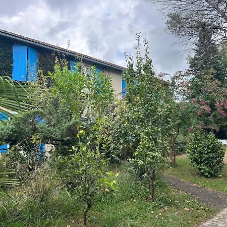 Maison Colibri Apartmán *